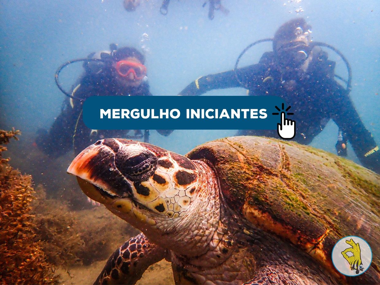 mergulho em ilhabela, batismo de mergulho em ilhabela, Mergulho Ilhabela, Mergulho ilhabela preço