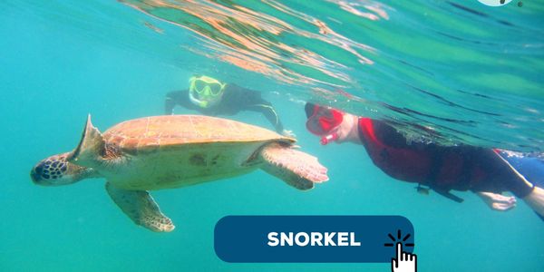 mergulho superficie ilhabela , snorkel em ilhabela , snorkel , mergulho de snorkel , flutuação